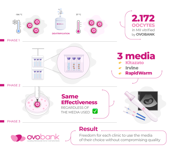 oocyte devitrification oocyte devitrification