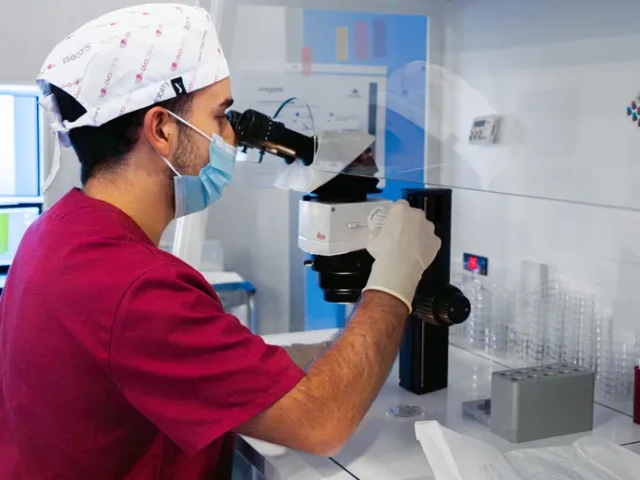 grosor-endometrio-implantacion